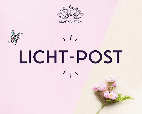 Schriftzug Licht-Post mit illustriertem Schmetterling und einer Gartenrose auf rosa-beigem Hintergrund.