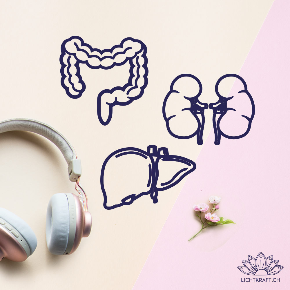 Affirmationen für Darm, Leber und Nieren gesprochen von Melanie Bütikofer