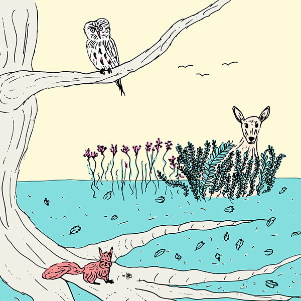Illustration einer Eule, sitzend auf einem Ast unter ihr, ein Eichhörnchen und in der Ferne ein Reh im Farn sitzend